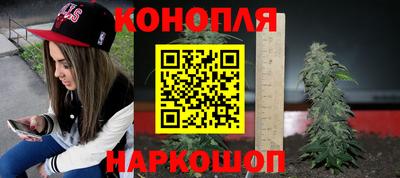 ешки Дубна