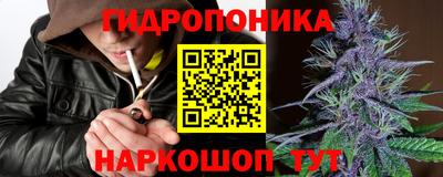 ешки Дубна