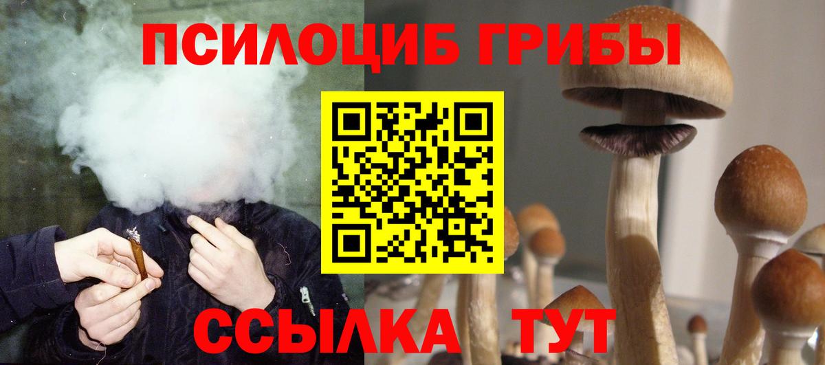 Псилоцибиновые грибы Psilocybine cubensis Нижневартовск