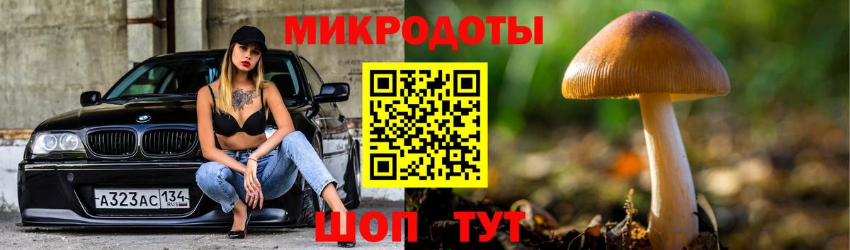 Галлюциногенные грибы Cubensis  Вход с VPN  Нижневартовск  Псилоцибиновые грибы прущие грибы 